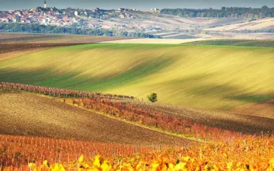 Nové fotografie J. Hedbávného
